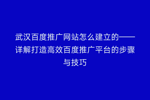 武汉百度推广网站怎么建立的——详解打造高效百度推广平台的步骤与技巧