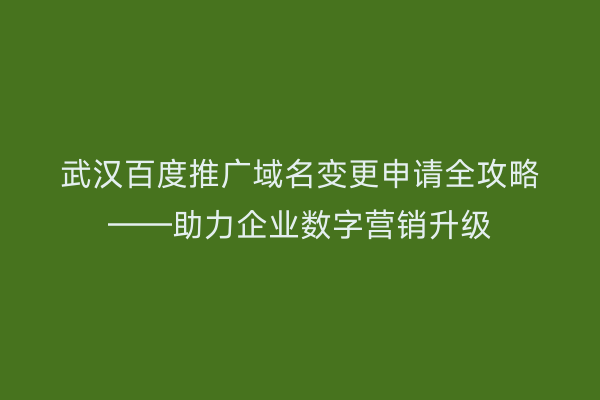 武汉百度推广域名变更申请全攻略——助力企业数字营销升级