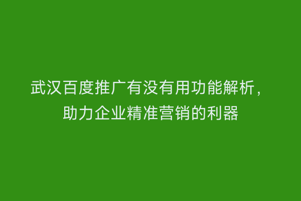 武汉百度推广有没有用功能解析，助力企业精准营销的利器