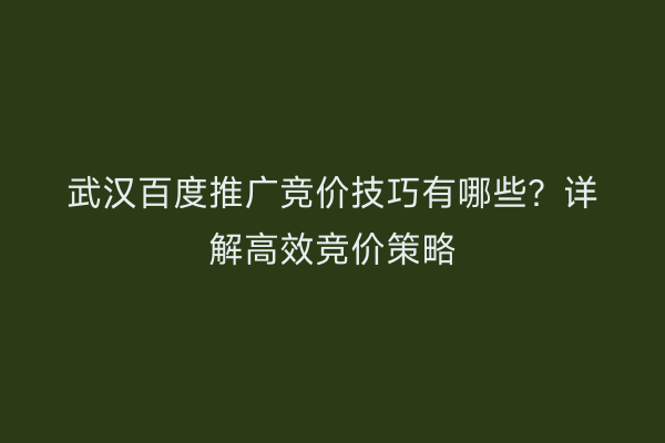 武汉百度推广竞价技巧有哪些？详解高效竞价策略