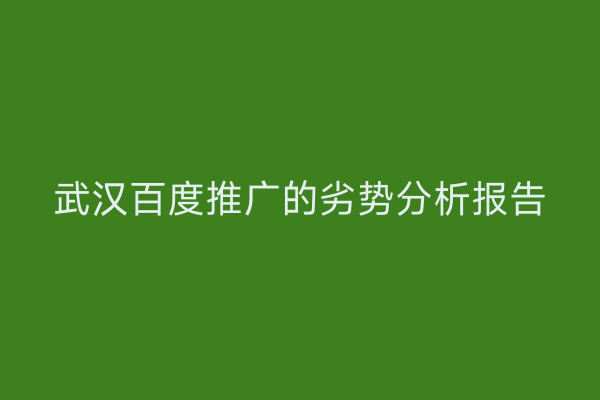 武汉百度推广的劣势分析报告