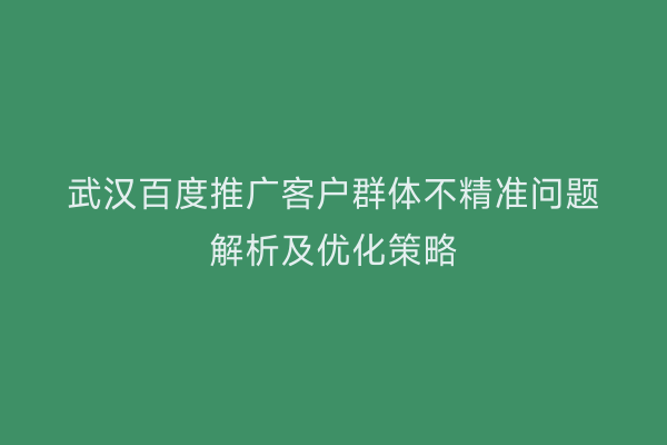 武汉百度推广客户群体不精准问题解析及优化策略