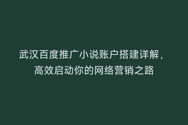 武汉百度推广小说账户搭建详解，高效启动你的网络营销之路