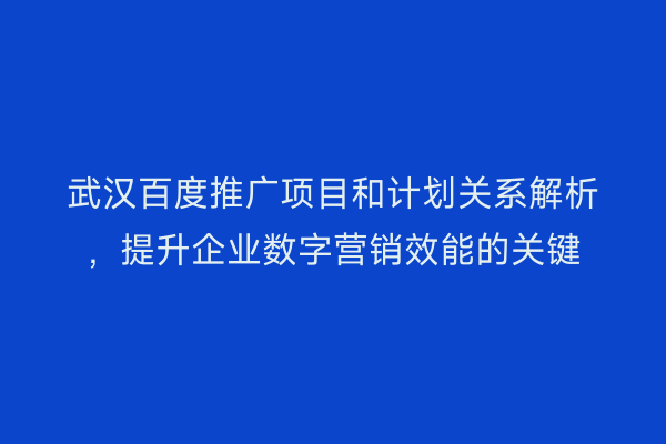 武汉百度推广项目和计划关系解析，提升企业数字营销效能的关键