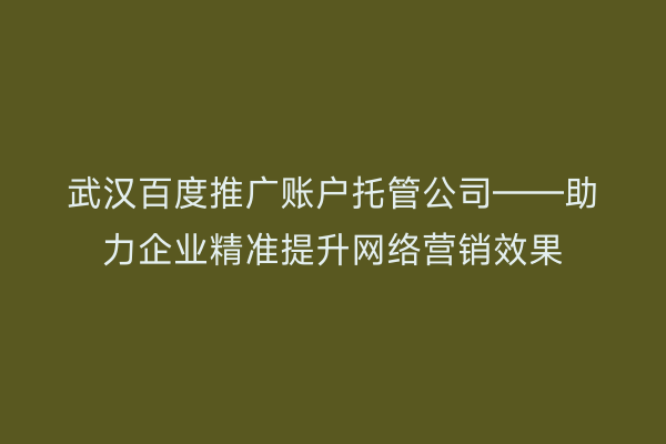 武汉百度推广账户托管公司——助力企业精准提升网络营销效果