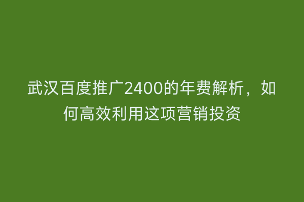 武汉百度推广2400的年费解析，如何高效利用这项营销投资