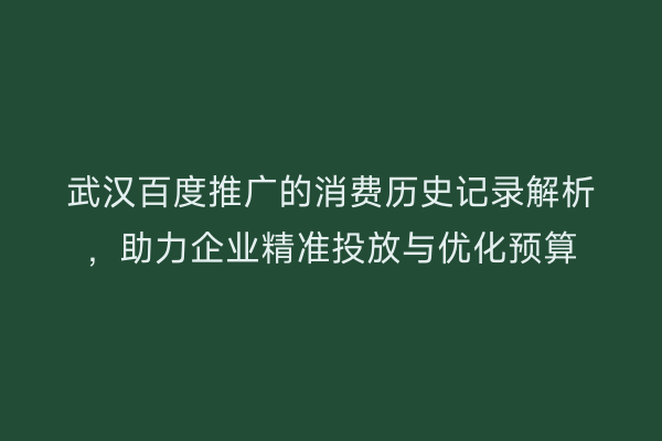 武汉百度推广的消费历史记录解析，助力企业精准投放与优化预算