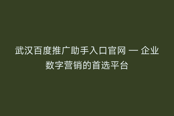 武汉百度推广助手入口官网 — 企业数字营销的首选平台