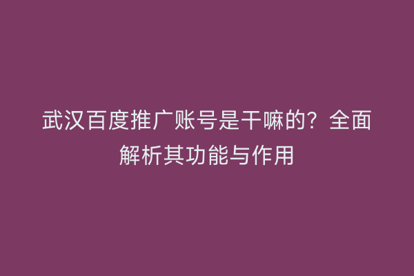 武汉百度推广账号是干嘛的？全面解析其功能与作用