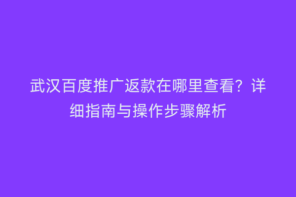 武汉百度推广返款在哪里查看？详细指南与操作步骤解析