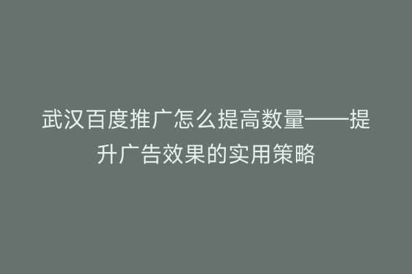 武汉百度推广怎么提高数量——提升广告效果的实用策略