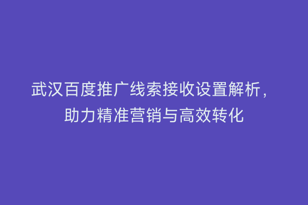 武汉百度推广线索接收设置解析，助力精准营销与高效转化