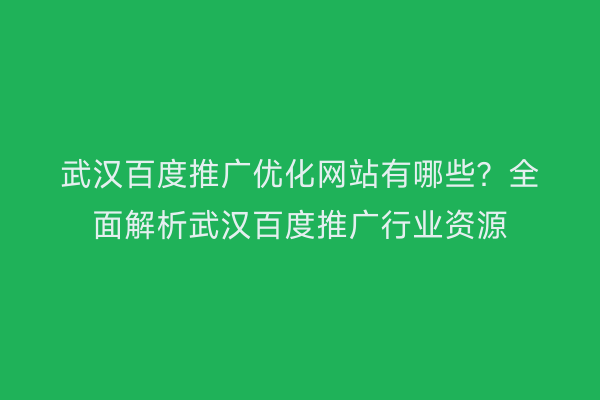武汉百度推广优化网站有哪些？全面解析武汉百度推广行业资源