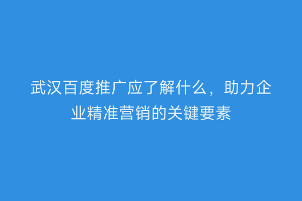 武汉百度推广应了解什么，助力企业精准营销的关键要素