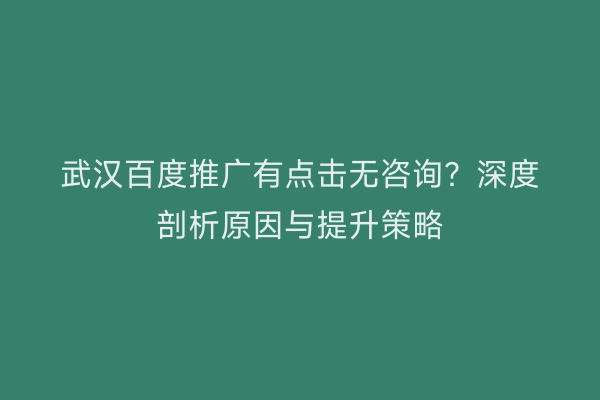 武汉百度推广有点击无咨询？深度剖析原因与提升策略