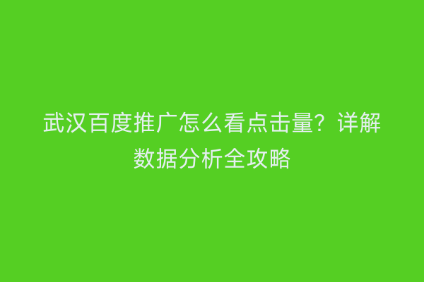 武汉百度推广怎么看点击量？详解数据分析全攻略