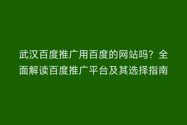 武汉百度推广用百度的网站吗？全面解读百度推广平台及其选择指南