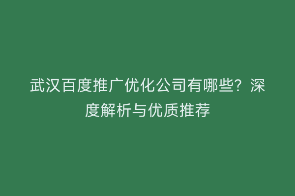 武汉百度推广优化公司有哪些？深度解析与优质推荐