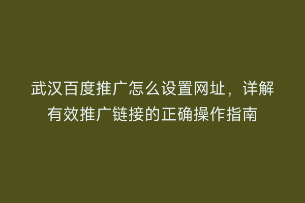 武汉百度推广怎么设置网址，详解有效推广链接的正确操作指南