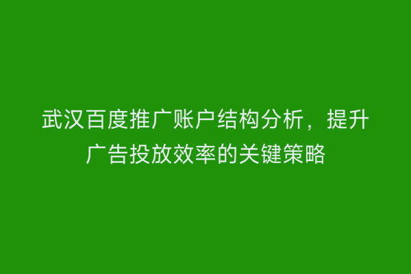 武汉百度推广账户结构分析，提升广告投放效率的关键策略
