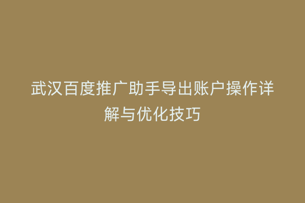 武汉百度推广助手导出账户操作详解与优化技巧