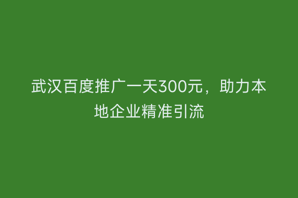 武汉百度推广一天300元，助力本地企业精准引流