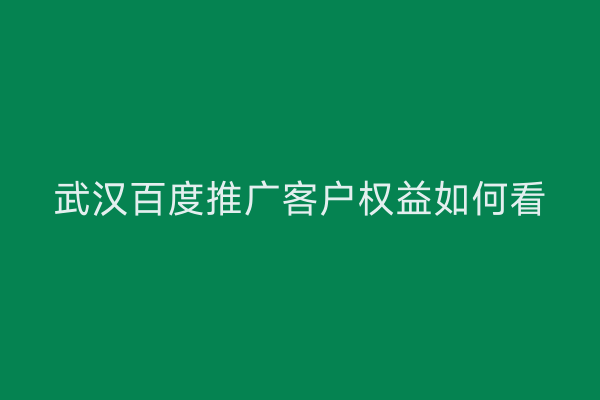 武汉百度推广客户权益如何看