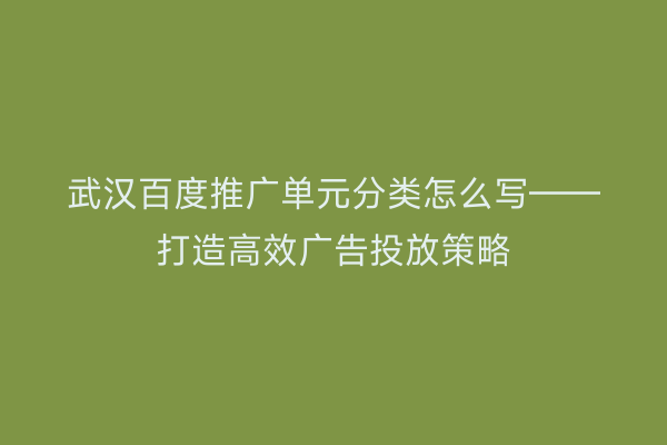 武汉百度推广单元分类怎么写——打造高效广告投放策略