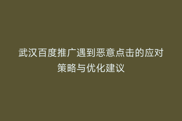 武汉百度推广遇到恶意点击的应对策略与优化建议