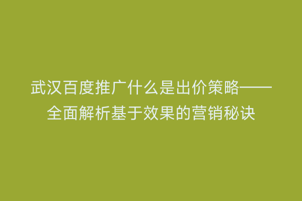 武汉百度推广什么是出价策略——全面解析基于效果的营销秘诀