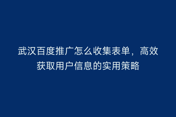 武汉百度推广怎么收集表单，高效获取用户信息的实用策略