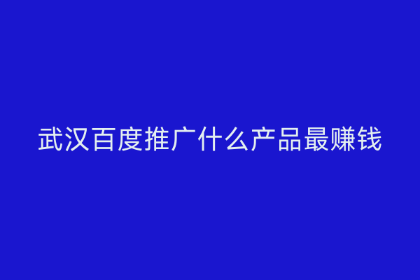 武汉百度推广什么产品最赚钱