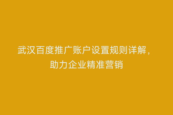 武汉百度推广账户设置规则详解，助力企业精准营销