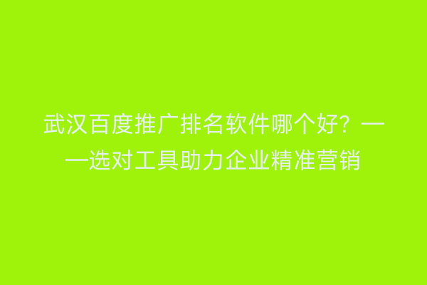 武汉百度推广排名软件哪个好？——选对工具助力企业精准营销