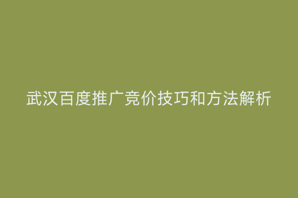 武汉百度推广竞价技巧和方法解析