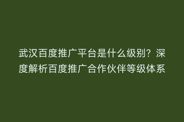 武汉百度推广平台是什么级别？深度解析百度推广合作伙伴等级体系