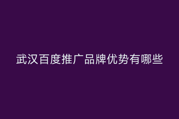 武汉百度推广品牌优势有哪些