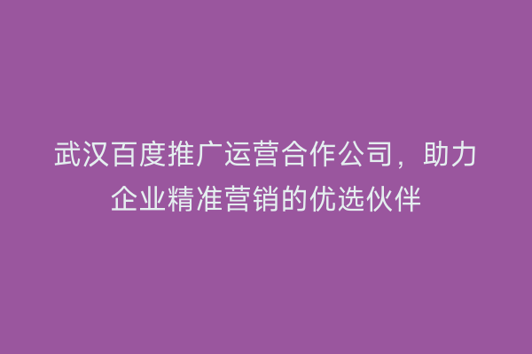 武汉百度推广运营合作公司，助力企业精准营销的优选伙伴