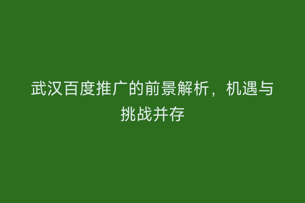 武汉百度推广的前景解析，机遇与挑战并存