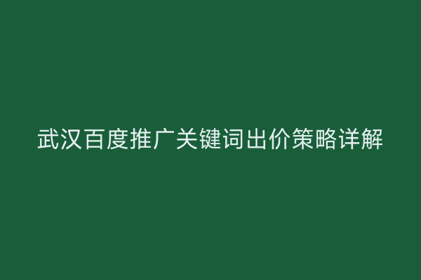 武汉百度推广关键词出价策略详解