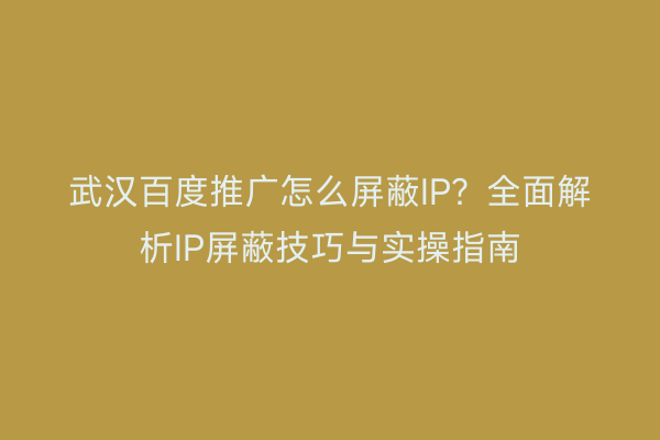 武汉百度推广怎么屏蔽IP？全面解析IP屏蔽技巧与实操指南
