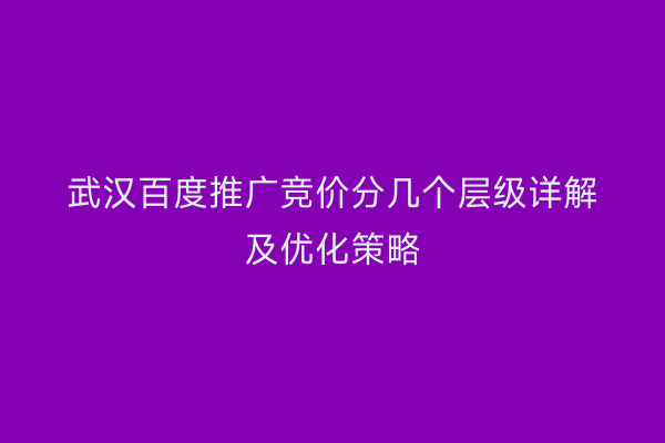 武汉百度推广竞价分几个层级详解及优化策略