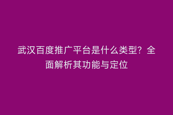 武汉百度推广平台是什么类型？全面解析其功能与定位
