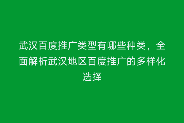 武汉百度推广类型有哪些种类，全面解析武汉地区百度推广的多样化选择