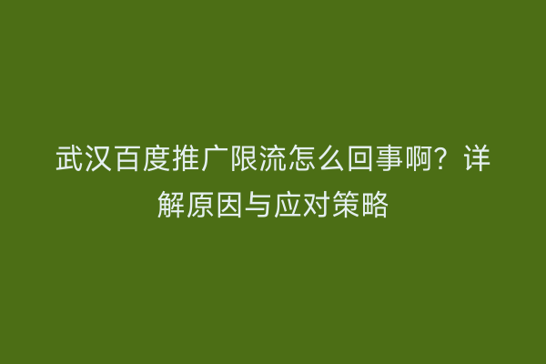 武汉百度推广限流怎么回事啊？详解原因与应对策略