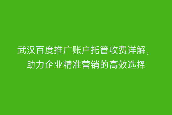 武汉百度推广账户托管收费详解，助力企业精准营销的高效选择