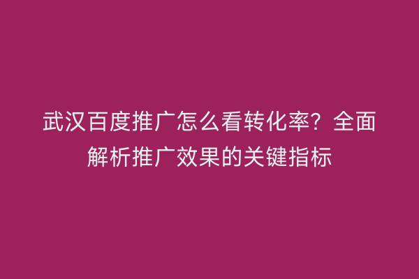 武汉百度推广怎么看转化率？全面解析推广效果的关键指标