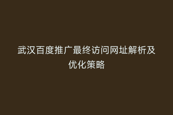 武汉百度推广最终访问网址解析及优化策略