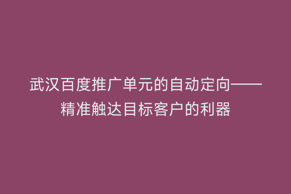 武汉百度推广单元的自动定向——精准触达目标客户的利器