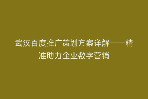 武汉百度推广策划方案详解——精准助力企业数字营销